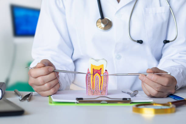 Best Weekend Emergency Dentist in Herlong, CA